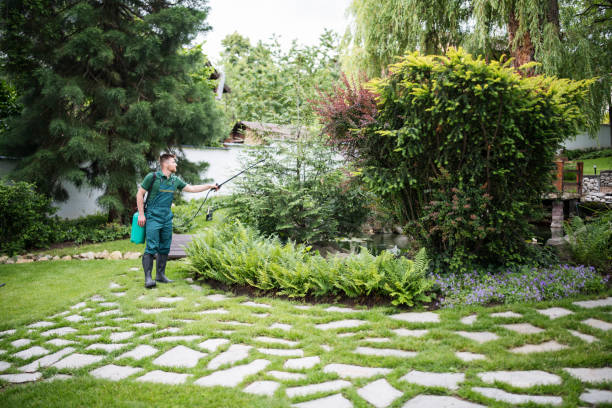 Best Lawn Maintenance Plans  in Grants, NM